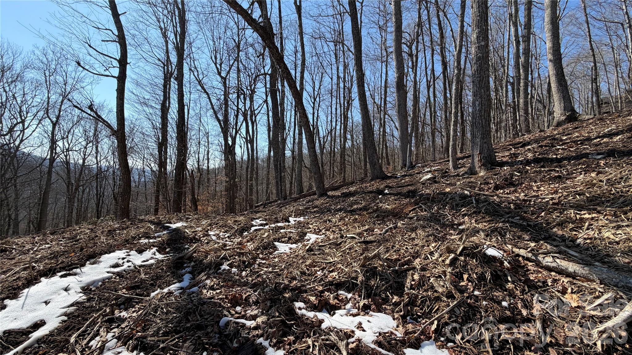 0 Foxden Road, Unit 109 Mars Hill, NC 28754 - Photo 3 of 10 a view of a backyard of the house