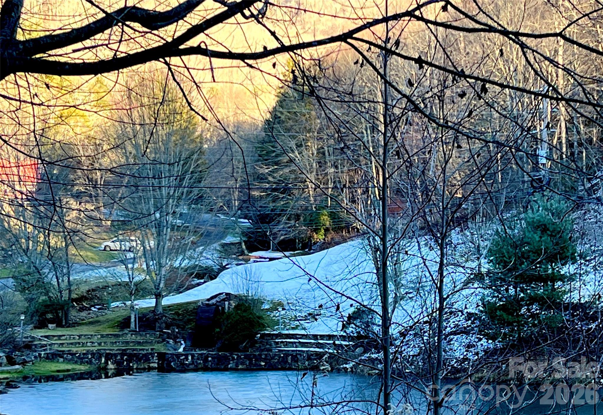 0 Foxden Road, Unit 109 Mars Hill, NC 28754 - Photo 5 of 10 a view of a backyard with plants and large trees