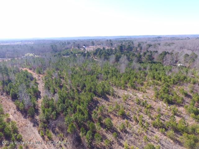 1865 Kings Road Oakman, AL 35579 - Photo 2 of 4 Gallery Image 2