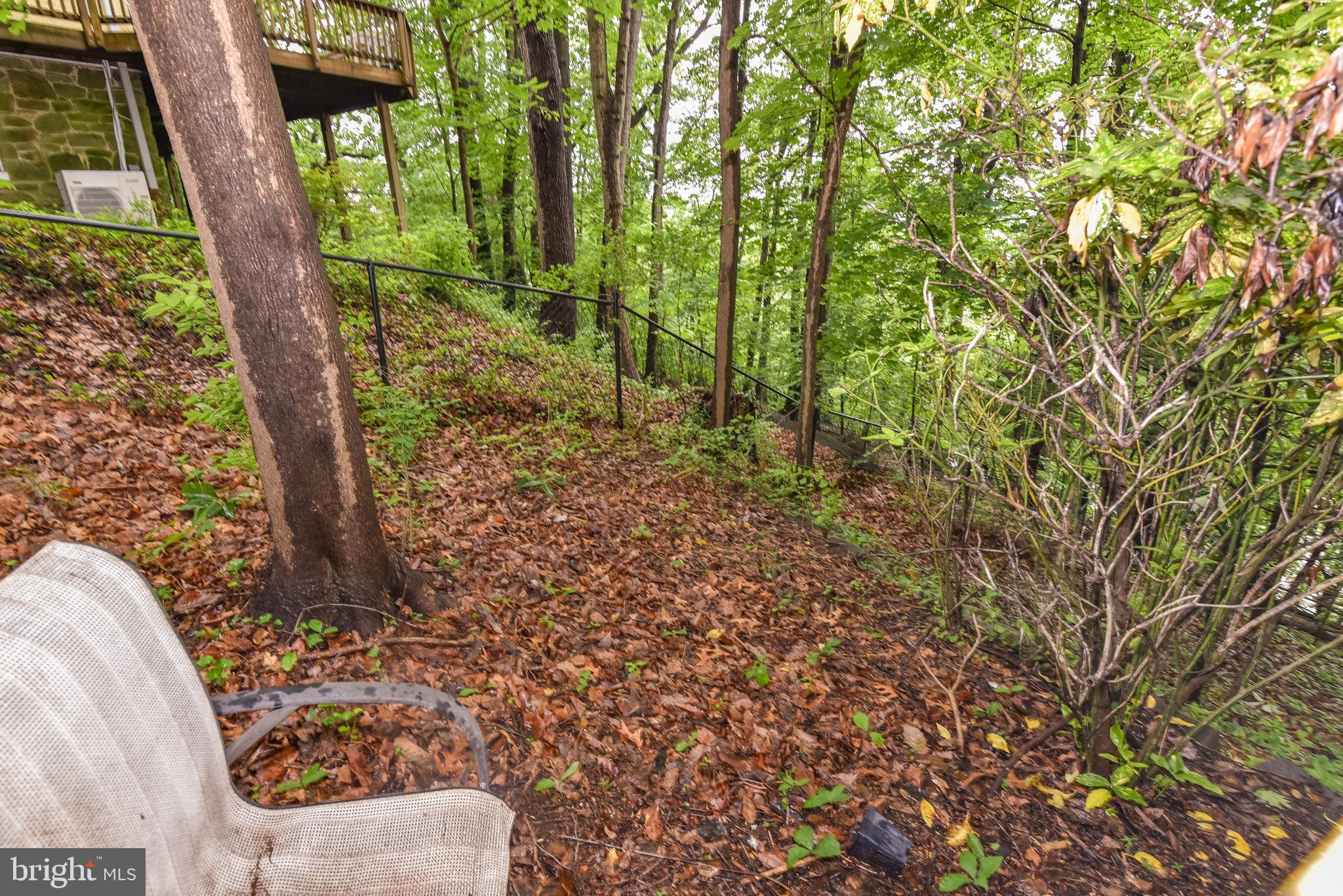 24 Merrymount Road Baltimore, MD 21210 - Photo 46 of 48 a view of a yard with plants and large trees