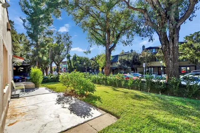a view of a garden with a bench and trees