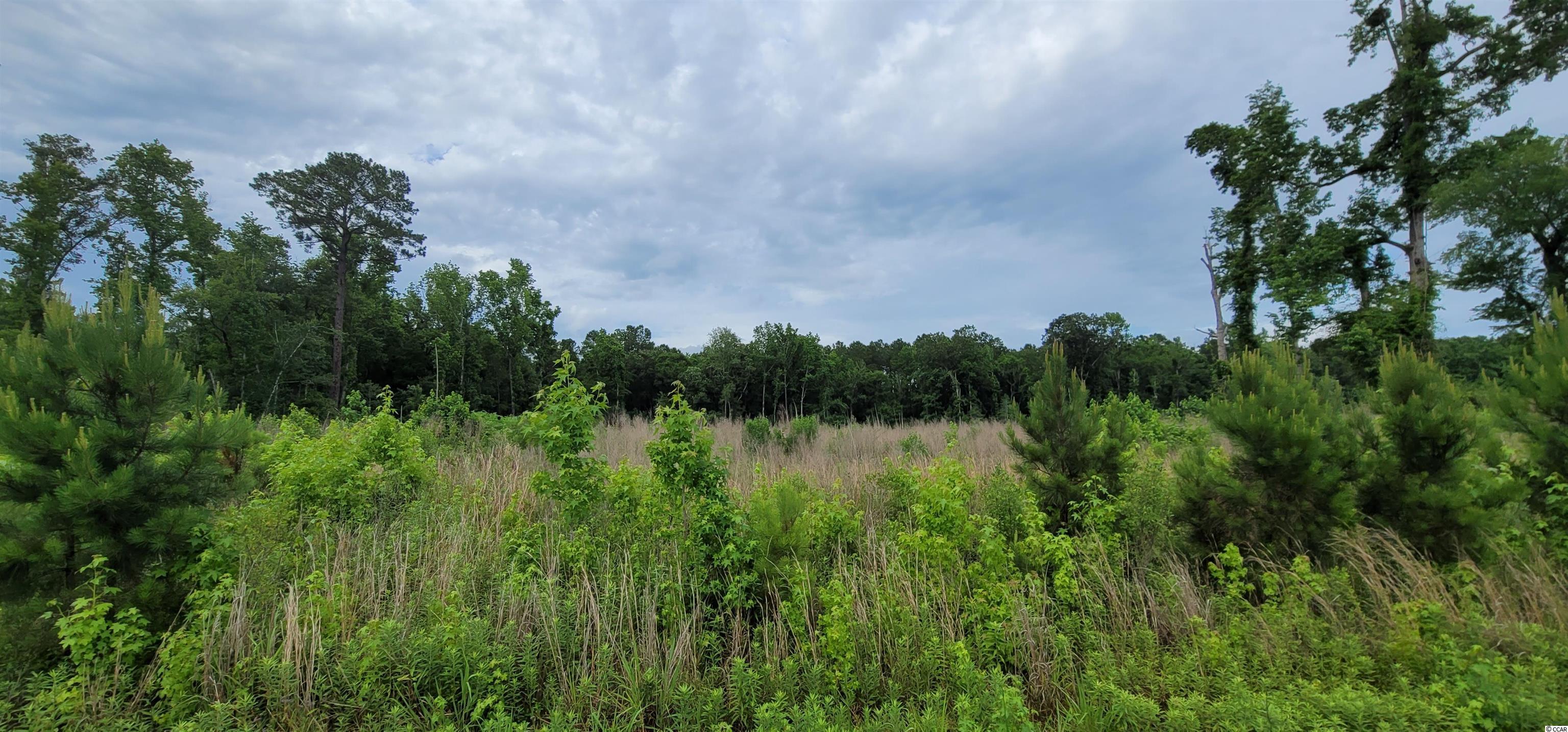 7400 Pauley Swamp Road Conway, SC 29527 - Photo 1 of 5 Gallery Image 1