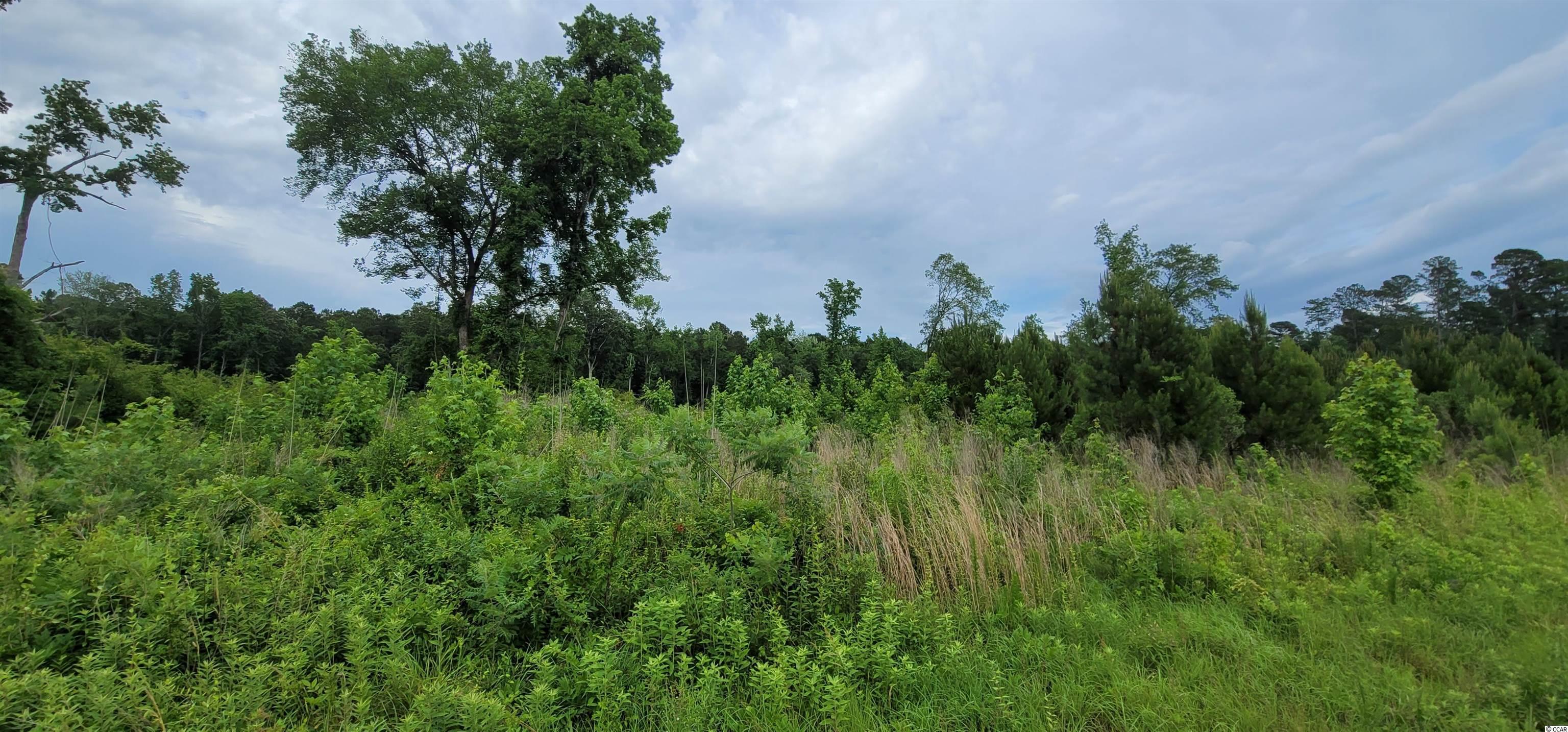 7400 Pauley Swamp Road Conway, SC 29527 - Photo 4 of 5 Gallery Image 4