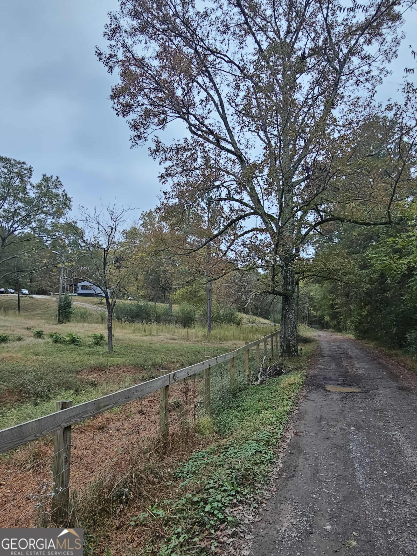262 Blacks Bluff Road Southwest Rome, GA 30161 - Photo 15 of 16 a view of a yard with large trees