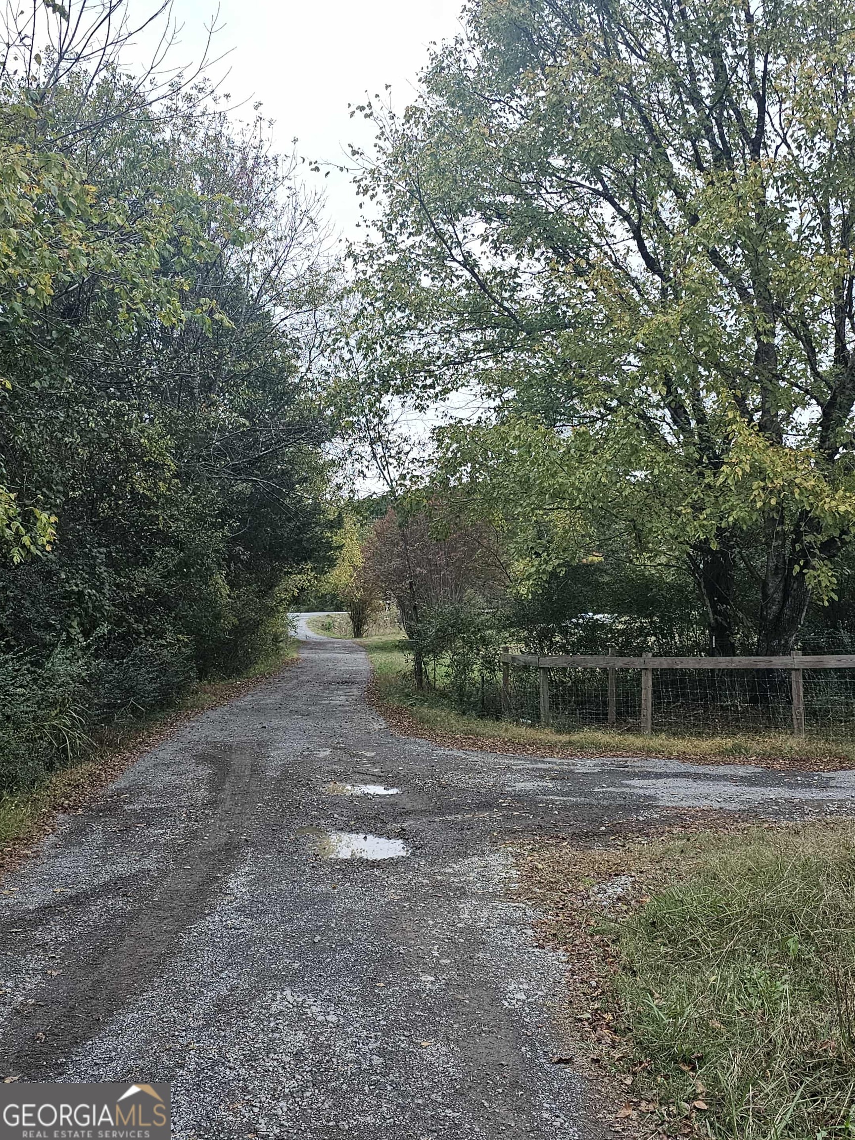 262 Blacks Bluff Road Southwest Rome, GA 30161 - Photo 3 of 16 a backyard of a house with lots of green space