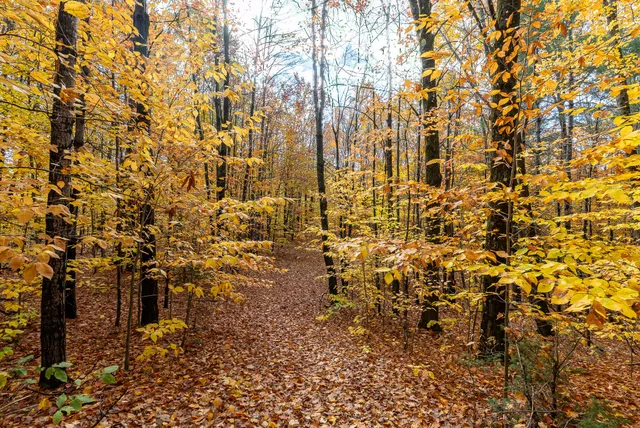 $399,900 | 264 Day Mountain Road, Temple, ME 04984