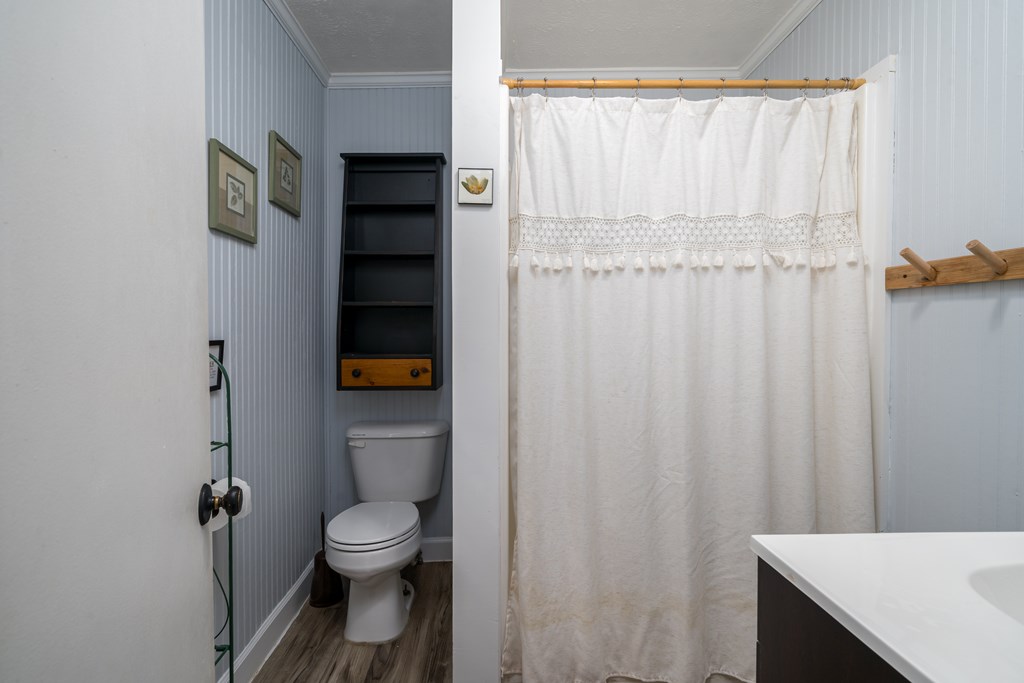 131 Hickory Trace Ellijay, GA 30536 - Photo 36 of 67 a bathroom with a toilet and a shower curtain