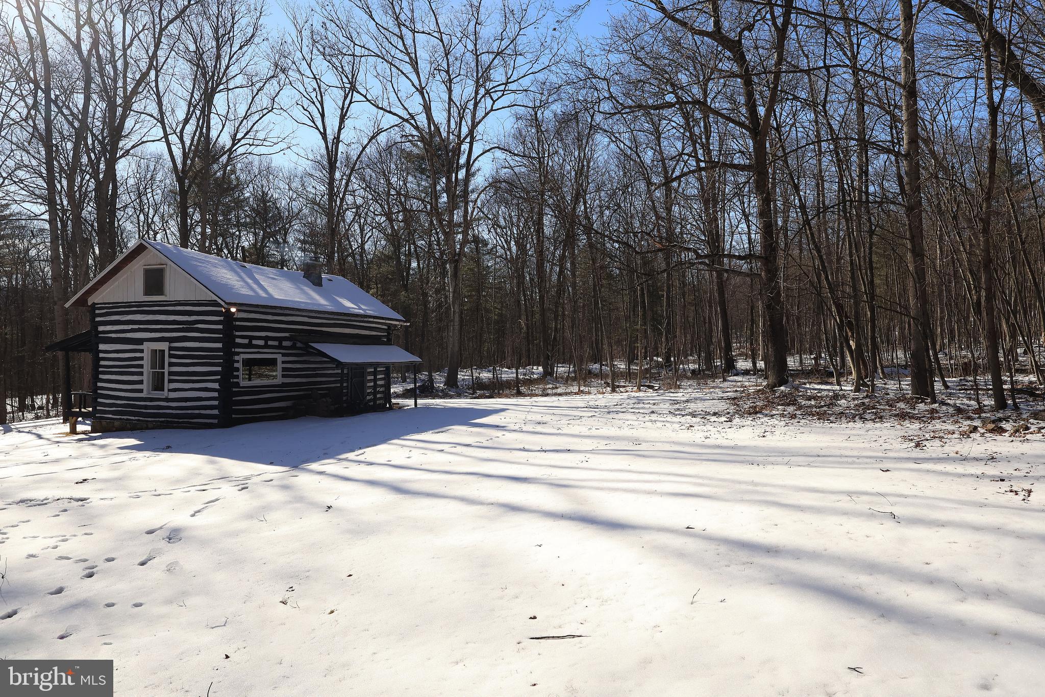 4464 Tram Road Spruce Creek, PA 16683 - Photo 50 of 50 a view of yard with wooden fence and trees