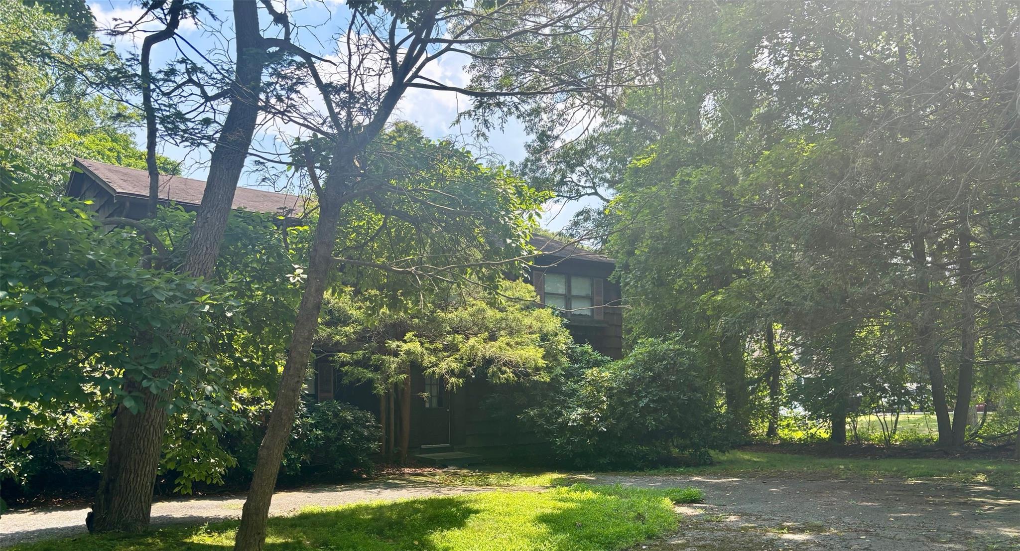 a view of a yard