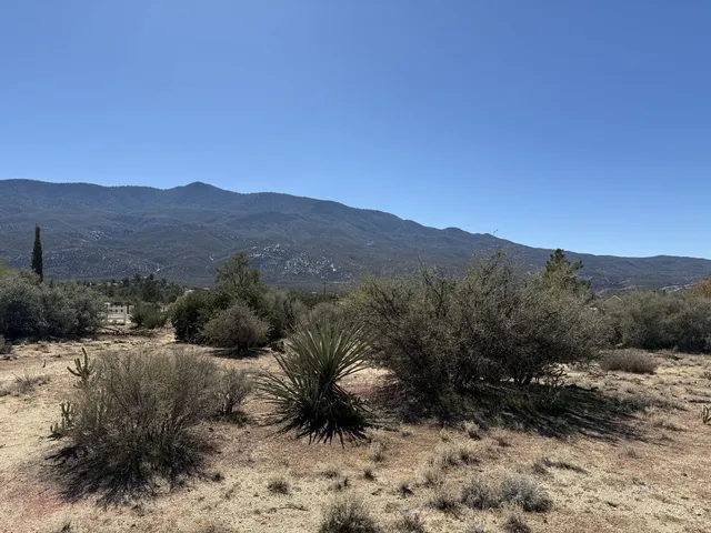 a view of a top of a house with a mountain and a forest