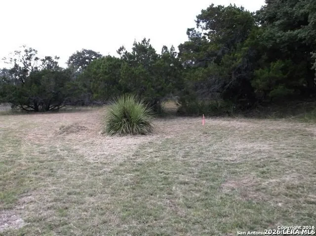 $320,000 | 1315 Overbrook Lane, Spring Branch, TX 78070