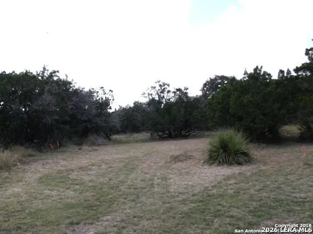 $320,000 | 1315 Overbrook Lane, Spring Branch, TX 78070