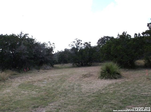 1315 Overbrook Lane Spring Branch, TX 78070 - Photo 21 of 24