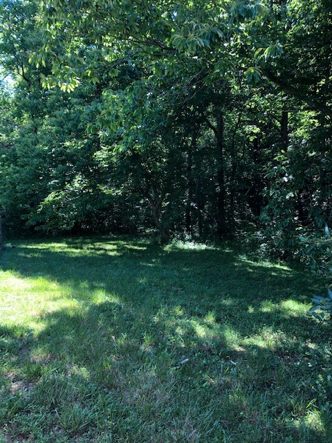 1875 Jordan Road Chapmansboro, TN 37035 - Photo 22 of 24 Gallery Image 22