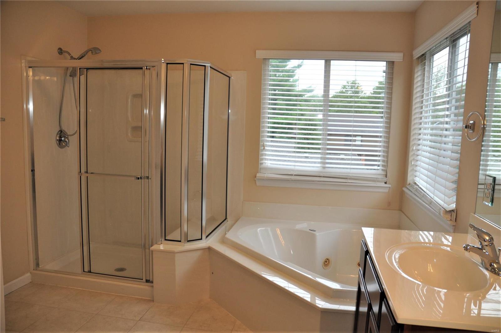 539 Weidman Road Ballwin, MO 63011 - Photo 25 of 33