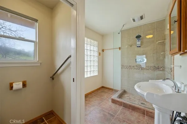 a bathroom with a sink a mirror and a shower