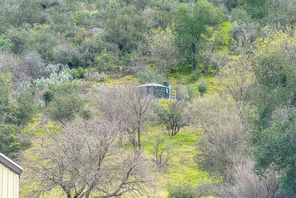 3151 Parkhill Road Santa Margarita, CA 93453 - Photo 27 of 49