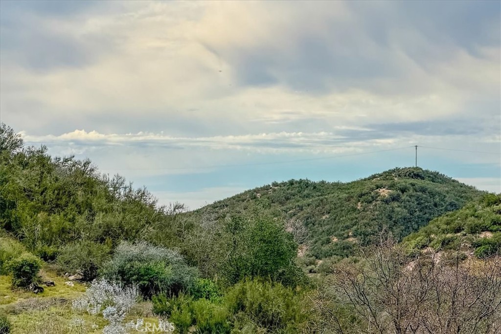 3151 Parkhill Road Santa Margarita, CA 93453 - Photo 27 of 55