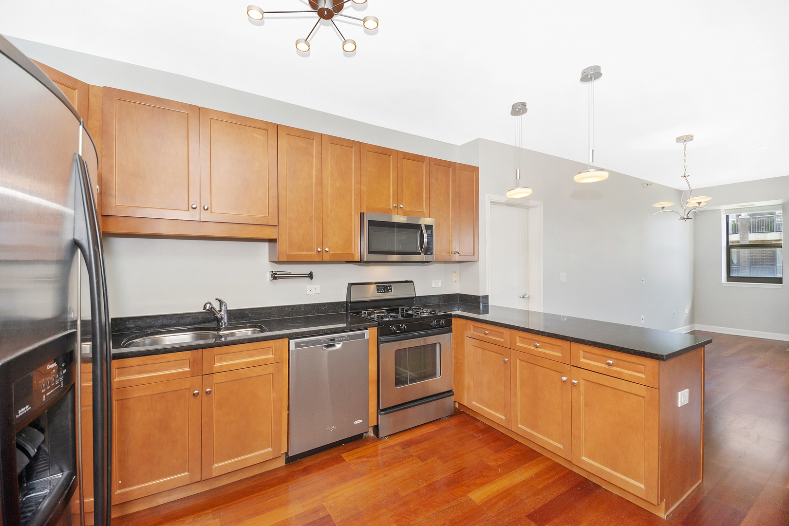 1133 South State Street, Unit 507 Chicago, IL 60605 - Photo 6 of 24