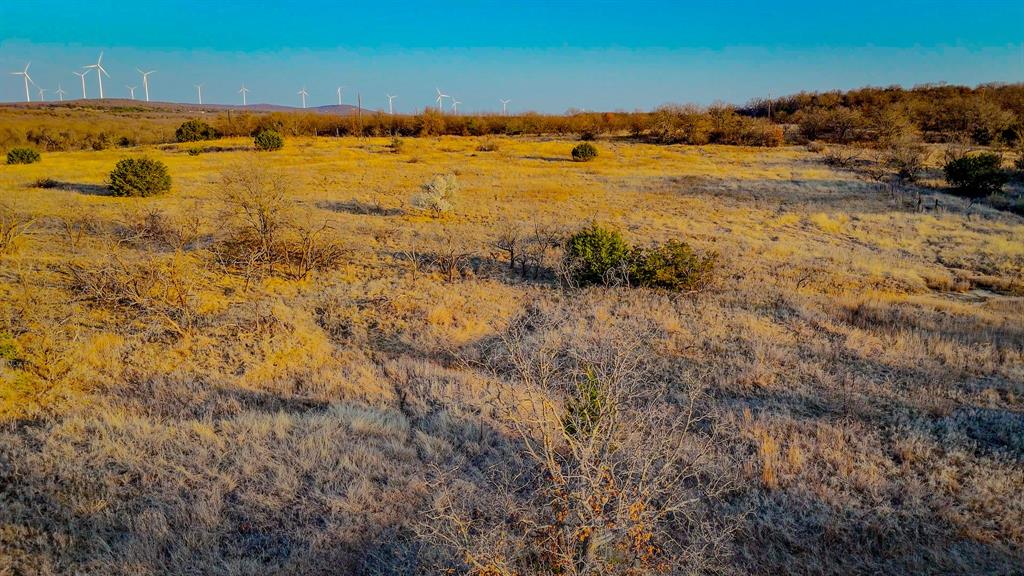 594 Bryson Lake Road Bryson, TX 76427 - Photo 13 of 14