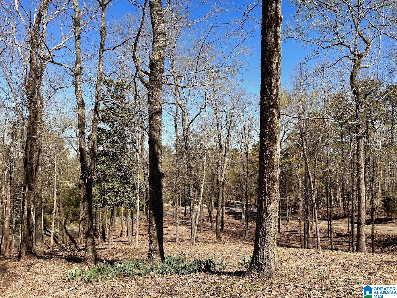3300 Sherwood Road Birmingham, AL 35223 - Photo 8 of 16