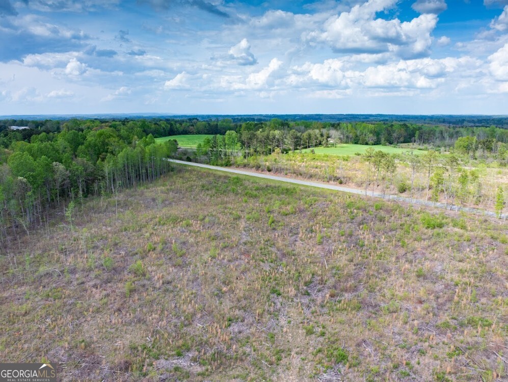 0 Highway 431, Unit TRACT 1A Wedowee, AL 36278 - Photo 12 of 35 a view of a yard with an trees