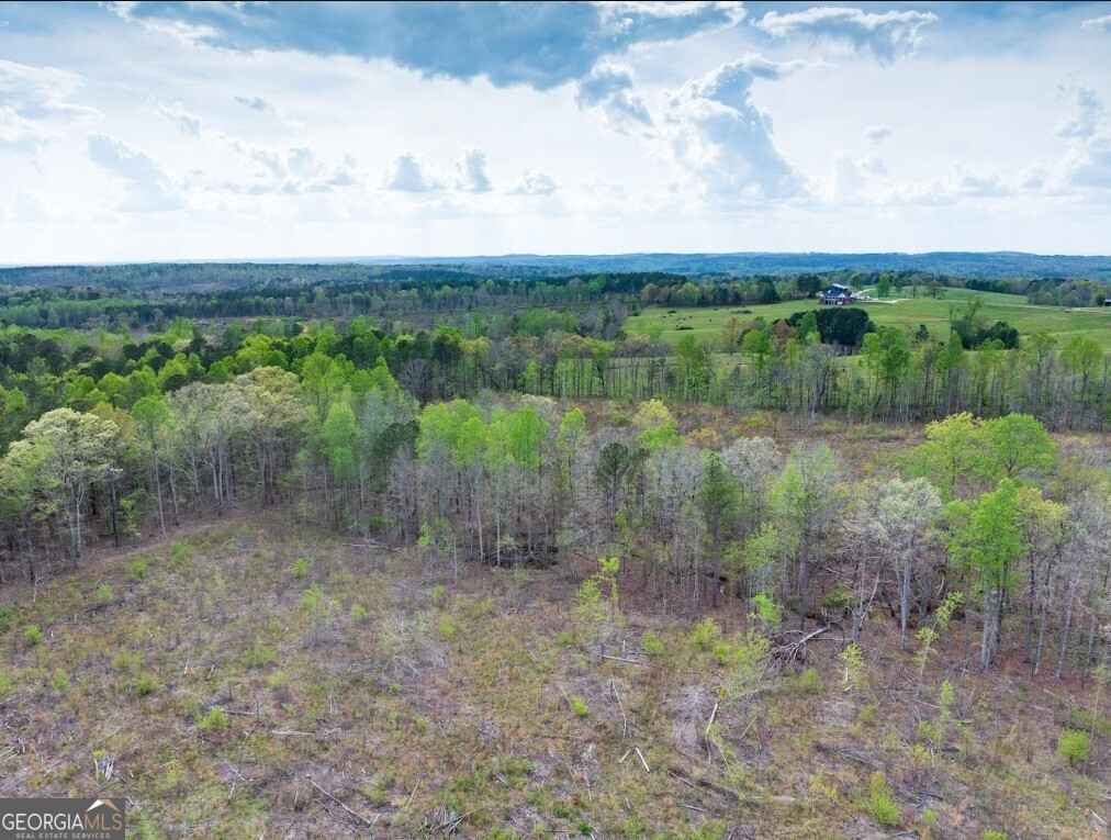 0 Highway 431, Unit TRACT 1A Wedowee, AL 36278 - Photo 13 of 35