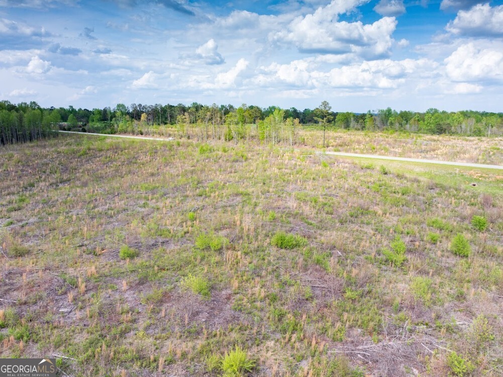 0 Highway 431, Unit TRACT 1A Wedowee, AL 36278 - Photo 14 of 35 a view of lake