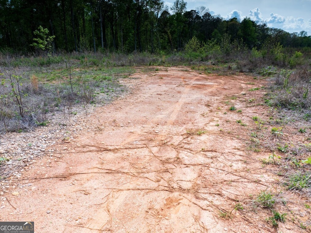 0 Highway 431, Unit TRACT 1A Wedowee, AL 36278 - Photo 17 of 35 a view of outdoor space with trees