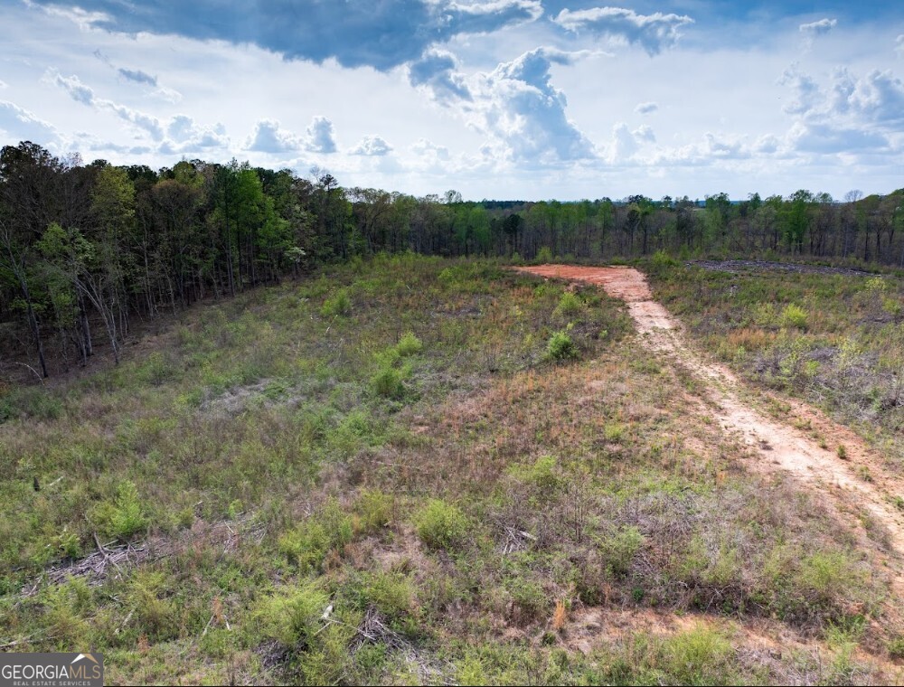 0 Highway 431, Unit TRACT 1A Wedowee, AL 36278 - Photo 18 of 35 a view of a lake with houses in the back