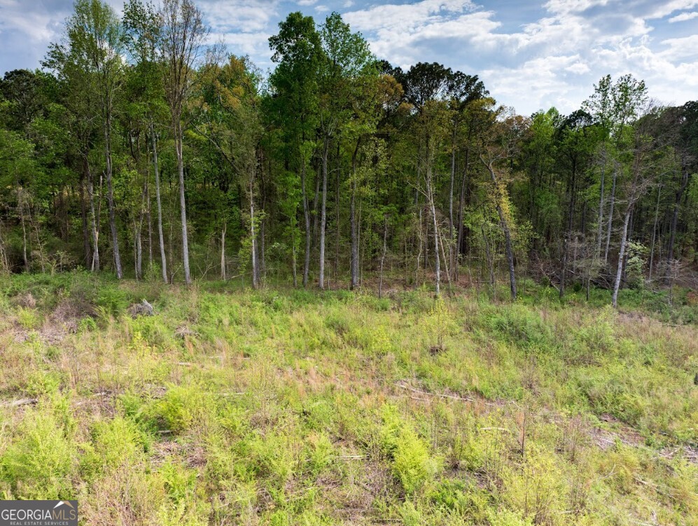 0 Highway 431, Unit TRACT 1A Wedowee, AL 36278 - Photo 19 of 35 a green field with lots of trees in the background