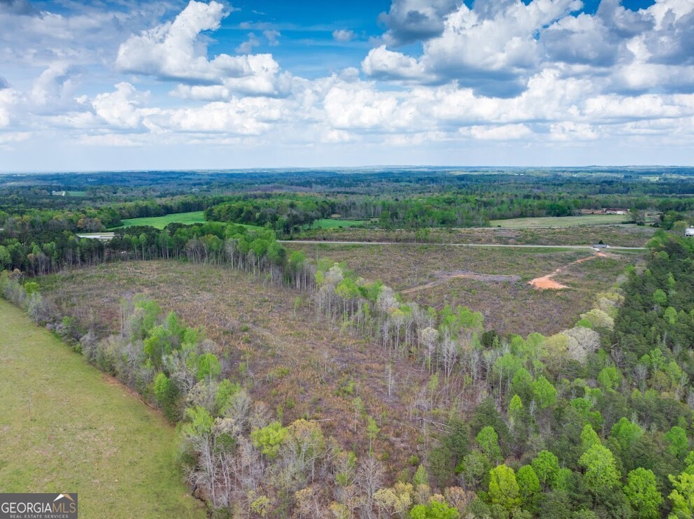 0 Highway 431, Unit TRACT 1A Wedowee, AL 36278 - Photo 27 of 35 a view of a lake with houses in the back
