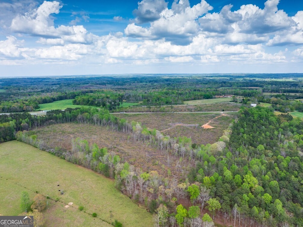 0 Highway 431, Unit TRACT 1A Wedowee, AL 36278 - Photo 28 of 35 a view of outdoor space and yard