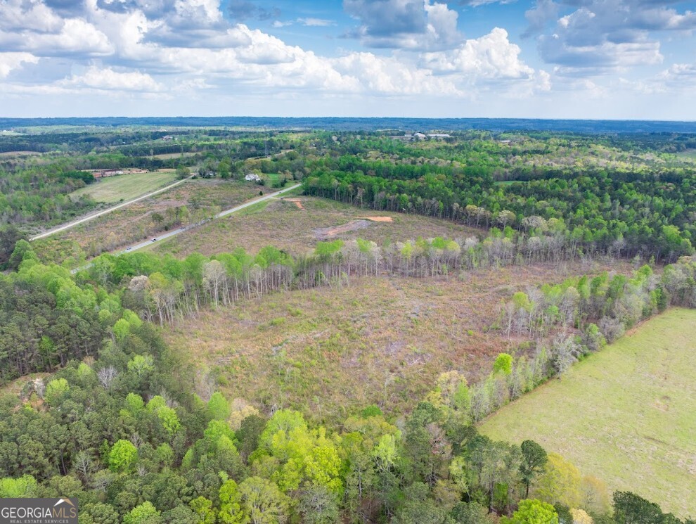 0 Highway 431, Unit TRACT 1A Wedowee, AL 36278 - Photo 30 of 35 a view of a lake with a city
