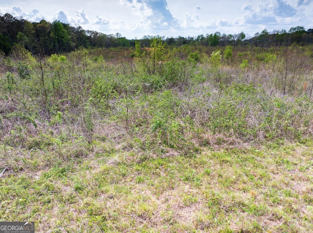 0 Highway 431, Unit TRACT 1A Wedowee, AL 36278 - Photo 5 of 35