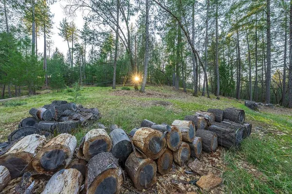 a view of a backyard with furniture and garden