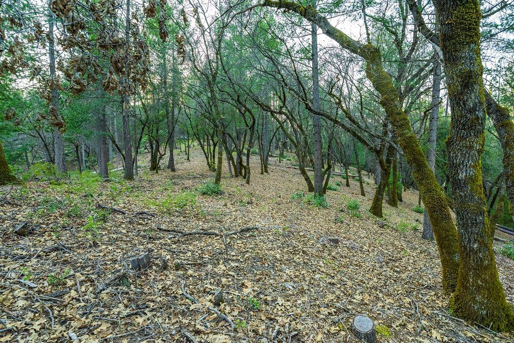 1355 East Weimar Cross Road Colfax, CA 95713 - Photo 11 of 41