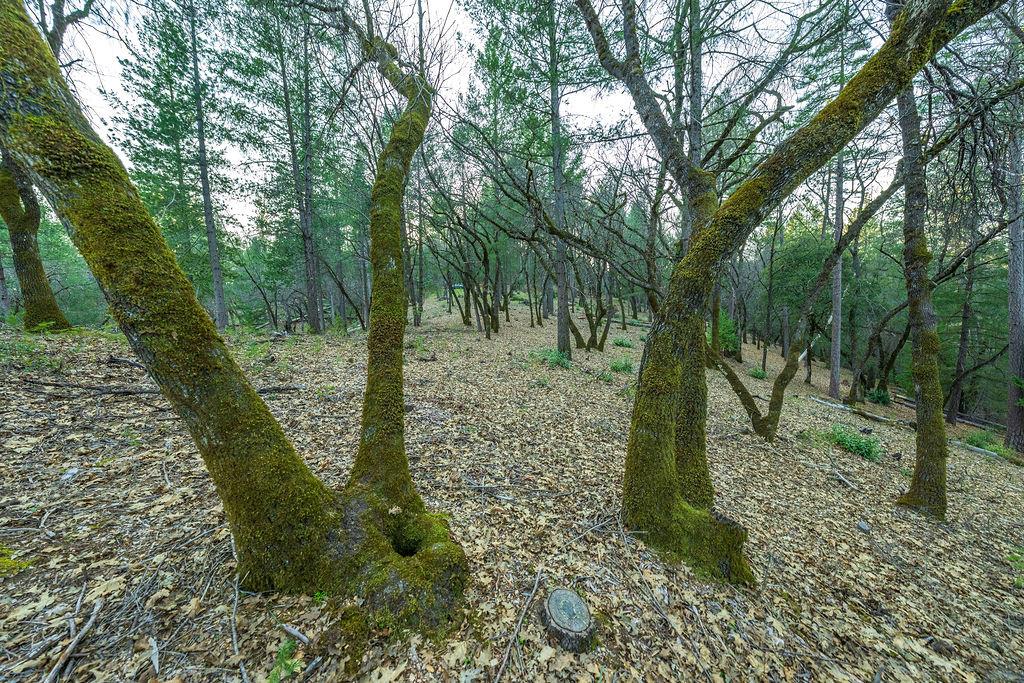 1355 East Weimar Cross Road Colfax, CA 95713 - Photo 13 of 41