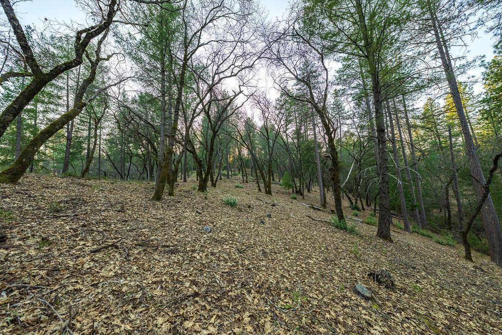 1355 East Weimar Cross Road Colfax, CA 95713 - Photo 14 of 41