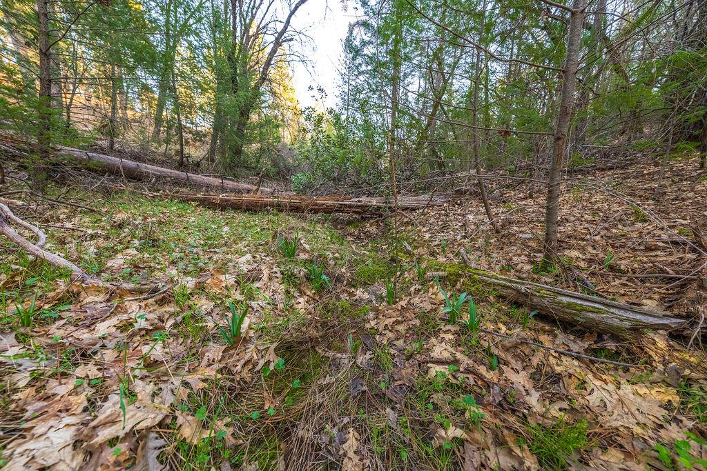 1355 East Weimar Cross Road Colfax, CA 95713 - Photo 16 of 41