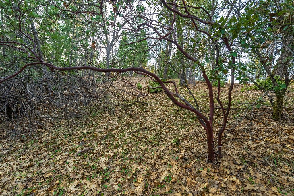 1355 East Weimar Cross Road Colfax, CA 95713 - Photo 17 of 41