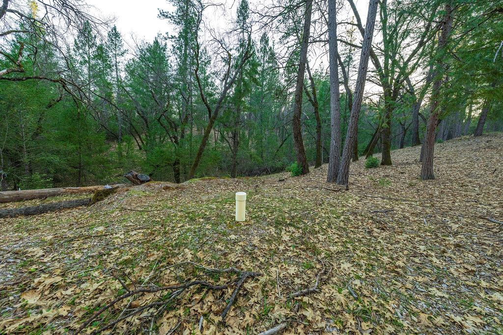 1355 East Weimar Cross Road Colfax, CA 95713 - Photo 19 of 41