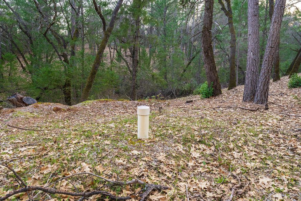 1355 East Weimar Cross Road Colfax, CA 95713 - Photo 20 of 41