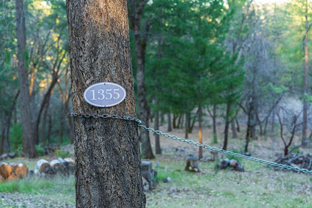 1355 East Weimar Cross Road Colfax, CA 95713 - Photo 2 of 41