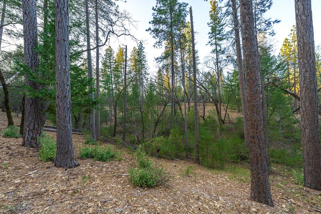 1355 East Weimar Cross Road Colfax, CA 95713 - Photo 23 of 41