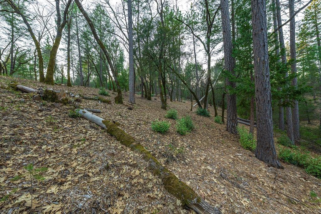 1355 East Weimar Cross Road Colfax, CA 95713 - Photo 24 of 41