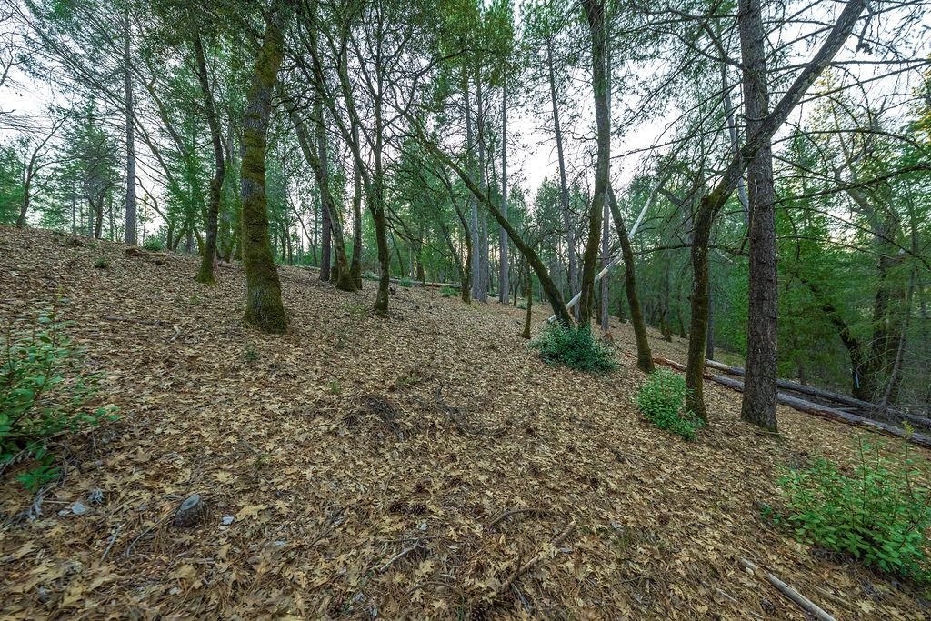 1355 East Weimar Cross Road Colfax, CA 95713 - Photo 25 of 41