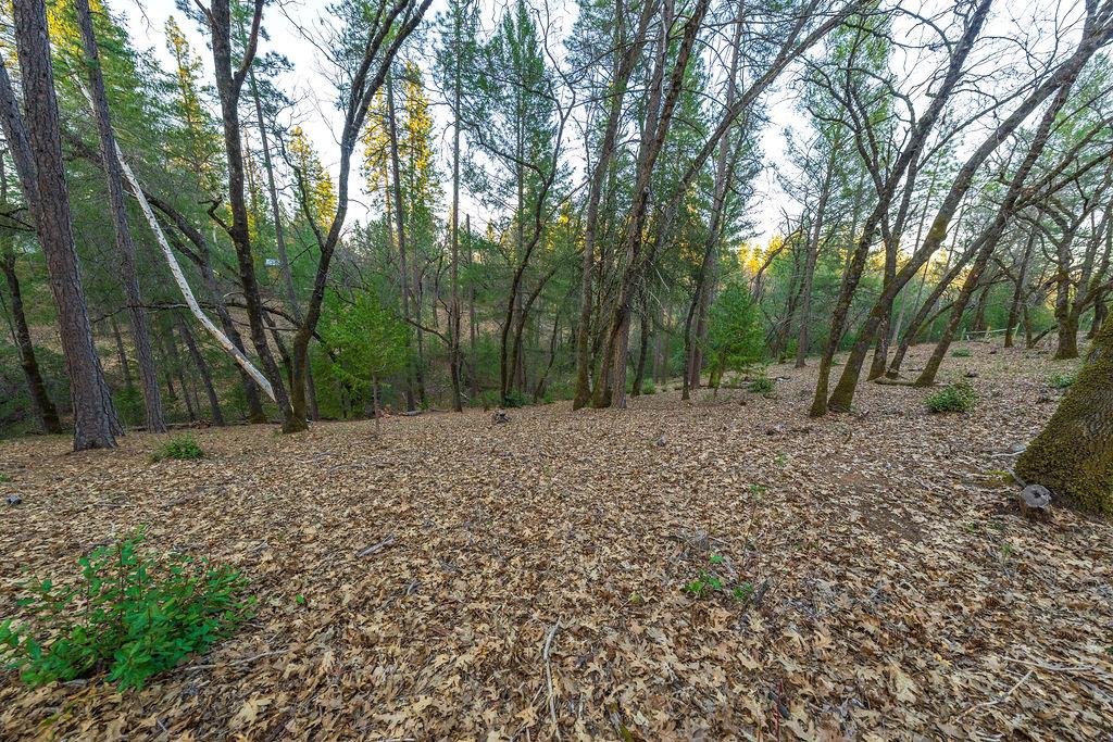 1355 East Weimar Cross Road Colfax, CA 95713 - Photo 26 of 41