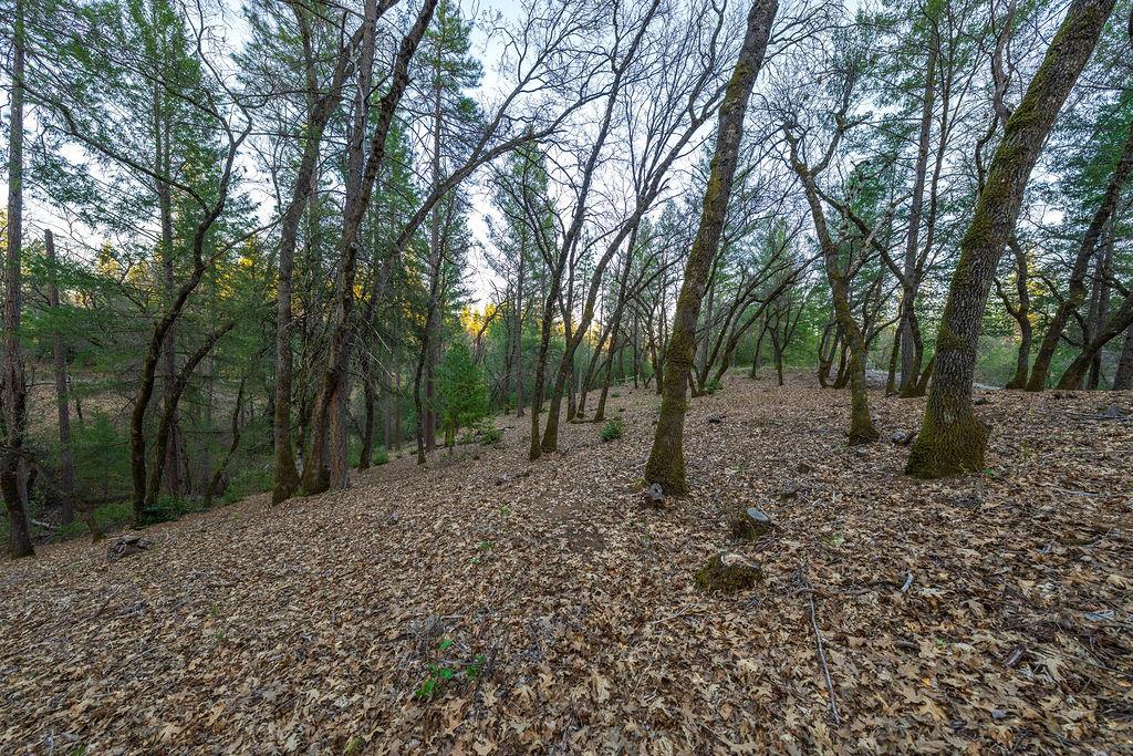 1355 East Weimar Cross Road Colfax, CA 95713 - Photo 27 of 41