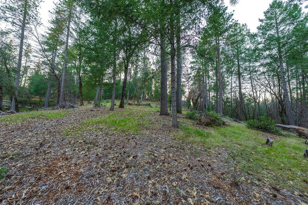 1355 East Weimar Cross Road Colfax, CA 95713 - Photo 28 of 41